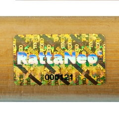 Поднос RattaNeo Coral a205 медовый цвета цена и информация | Детали интерьера | pigu.lt