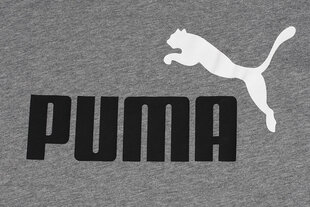 Marškinėliai vyrams Puma 586759, pilki kaina ir informacija | Vyriški marškinėliai | pigu.lt