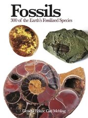 Fossils: 300 of the Earth's Fossilized Species цена и информация | Книги о питании и здоровом образе жизни | pigu.lt