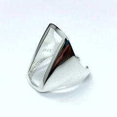 Sidabrinis žiedas moterims R0173 kaina ir informacija | Žiedai | pigu.lt