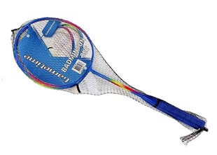 Rakečių rinkinys, įvairių spalvų kaina ir informacija | Badmintonas | pigu.lt