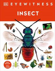 Insect цена и информация | Книги для подростков  | pigu.lt