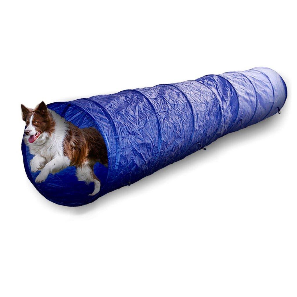 Šunų vikrumo tunelis Dog, mėlynas, 300x48x48cm kaina ir informacija | Žaislai šunims | pigu.lt