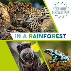 Explore Ecosystems: In a Rainforest Illustrated edition цена и информация | Книги для подростков  | pigu.lt