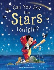 Can You See the Stars Tonight? цена и информация | Книги для самых маленьких | pigu.lt