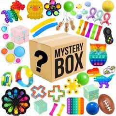 Таинственная коробка MYSTERY BOX, 10 шт. цена и информация | Развивающие игрушки | pigu.lt