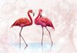 Fototapetas Flamingai kaina ir informacija | Fototapetai | pigu.lt