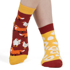 Kojinės moterims Soxo, įvairių spalvų kaina ir informacija | Moteriškos kojinės | pigu.lt