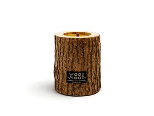 Cвеча c эфирными маслами хвойного дерева WoodMood Rocky Original Coniferous 13 см цена и информация | Подсвечники, свечи | pigu.lt