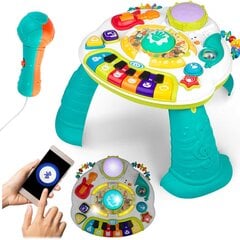 Учебный стол с инструментами и нотами цена и информация | Развивающие игрушки | pigu.lt