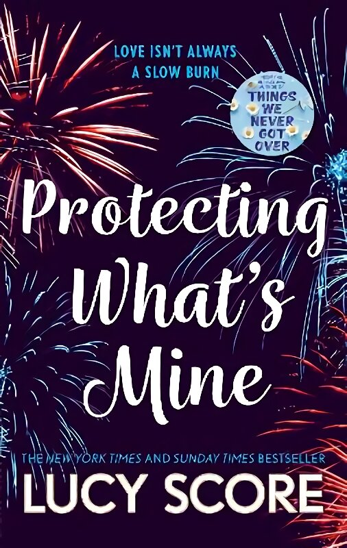 Protecting What's Mine: the stunning small town love story from the author of Things We Never Got Over kaina ir informacija | Fantastinės, mistinės knygos | pigu.lt