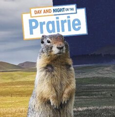 Day and Night on the Prairie цена и информация | Книги для подростков и молодежи | pigu.lt