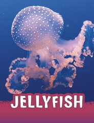 Jellyfish kaina ir informacija | Knygos paaugliams ir jaunimui | pigu.lt