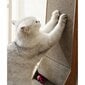 Draskyklė katėms Purlov, 60x40.5x25 cm kaina ir informacija | Žaislai katėms | pigu.lt