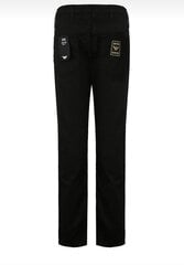 Мужские джинсы Emporio Armani цена и информация | Мужские джинсы | pigu.lt