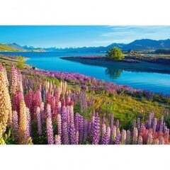 Пазл Castorland Lake Tekapo New Zealand, 500 деталей цена и информация | Пазлы | pigu.lt