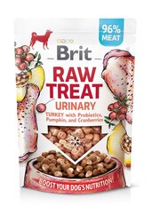 Brit Raw su kalakutiena, probiotikais, moliūgu ir spanguolėmis, 40 g kaina ir informacija | Skanėstai šunims | pigu.lt