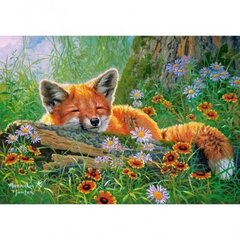 Dėlionė su lape Castorland Foxy Dreams, 500 d. kaina ir informacija | Dėlionės (puzzle) | pigu.lt