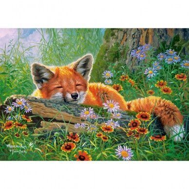 Dėlionė su lape Castorland Foxy Dreams, 500 d. kaina ir informacija | Dėlionės (puzzle) | pigu.lt