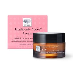 Drėkinamasis veido kremas New Nordic Hyaluronic Active™ Cream, 50 ml цена и информация | Кремы для лица | pigu.lt