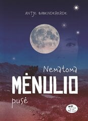 Nematoma mėnulio pusė цена и информация | Книги для детей | pigu.lt