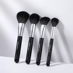 Кисти Eigshow Beauty Master Series PRO knows 26 Bright Silver цена и информация | Кисти для макияжа, спонжи | pigu.lt