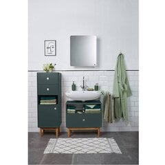 Шкаф под раковину Tenzo Color Bath, зеленый цвет цена и информация | Шкафчики для ванной | pigu.lt