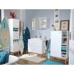 Шкаф для ванной комнаты Tenzo Color Bath, белый цвет цена и информация | Шкафчики для ванной | pigu.lt
