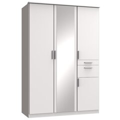 Шкаф Aatrium Koblenz, серый/белый цена и информация | Шкафы | pigu.lt