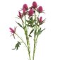Dirbtinė gėlė Erškėtis kaina ir informacija | Dirbtinės gėlės | pigu.lt