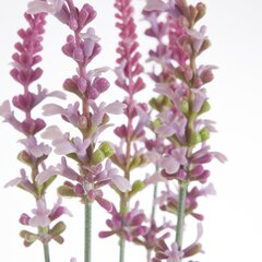 Dirbtinis augalas Šalavijas kaina ir informacija | Dirbtinės gėlės | pigu.lt