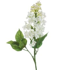 Искусственное растение Олива цена и информация | Искусственные цветы | pigu.lt