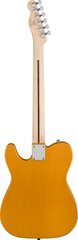 Elektrinė gitara Fender Squier FSR Bullet Telecaster BTB kaina ir informacija | Gitaros | pigu.lt