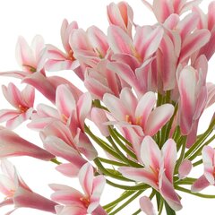 Dirbtinė gėlė Agapantas kaina ir informacija | Dirbtinės gėlės | pigu.lt