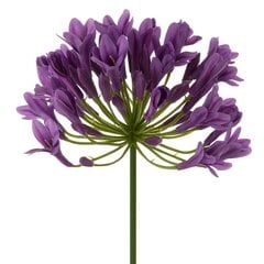 Искусственный цветок Агапантус цена и информация | Искусственные цветы | pigu.lt