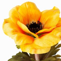 Dirbtinė gėlė Aguonos žiedas kaina ir informacija | Dirbtinės gėlės | pigu.lt
