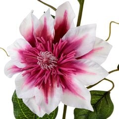 Искусственный цветок Ведьма цена и информация | Искусственные цветы | pigu.lt