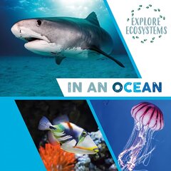 Explore Ecosystems: In an Ocean Illustrated edition kaina ir informacija | Knygos paaugliams ir jaunimui | pigu.lt