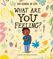 What Are You Feeling?: A picture book of your emotions цена и информация | Книги для подростков и молодежи | pigu.lt