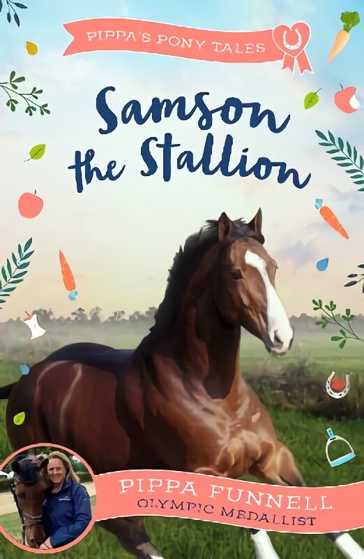 Samson the Stallion цена и информация | Knygos paaugliams ir jaunimui | pigu.lt
