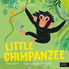 Little Chimpanzee: A Day in the Life of a Baby Chimp kaina ir informacija | Knygos paaugliams ir jaunimui | pigu.lt