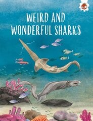 WEIRD AND WONDERFUL SHARKS: Shark Safari STEM цена и информация | Книги для подростков  | pigu.lt