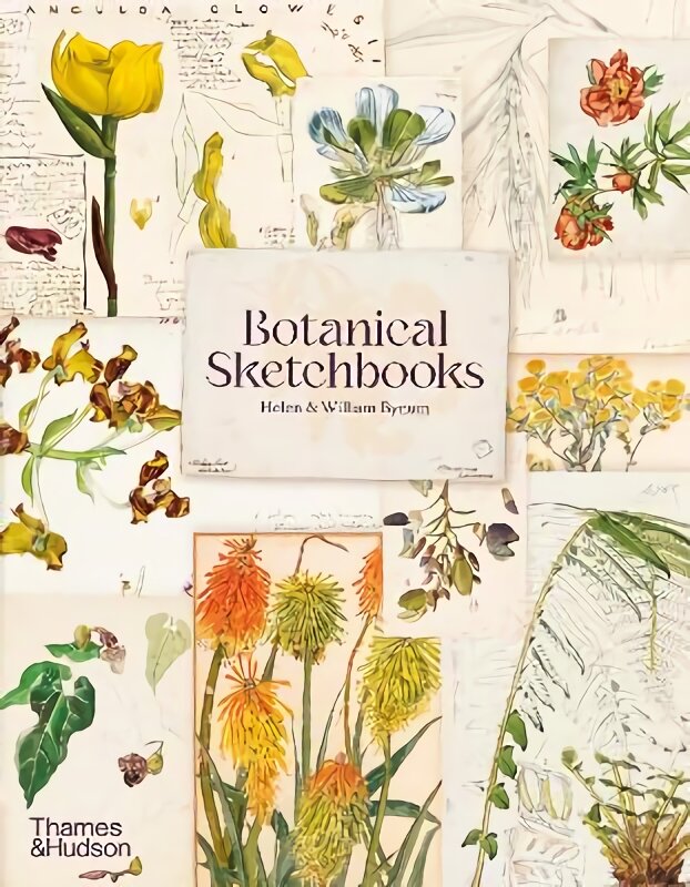 Botanical Sketchbooks цена и информация | Knygos apie meną | pigu.lt