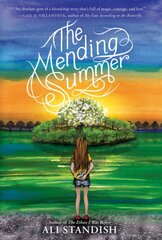 Mending Summer цена и информация | Книги для подростков и молодежи | pigu.lt