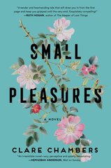 Small Pleasures цена и информация | Фантастика, фэнтези | pigu.lt