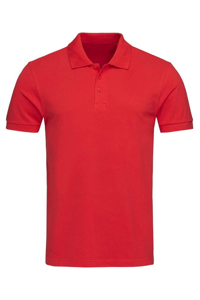 Polo marškinėliai vyrams, raudoni kaina ir informacija | Vyriški marškinėliai | pigu.lt