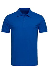 Мужская поло футболка, синяя цена и информация | Футболка мужская | pigu.lt