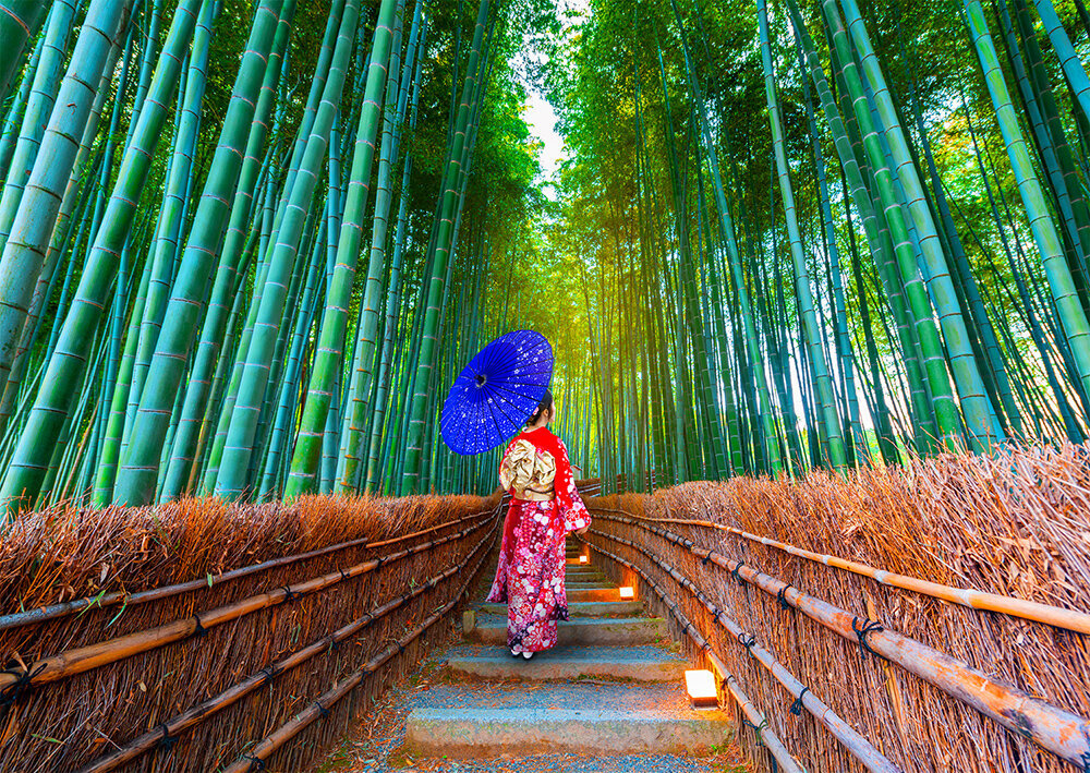 Dėlionė Enjoy Puzzle Azijos moteris bambukų miške 1000 vnt kaina ir informacija | Dėlionės (puzzle) | pigu.lt