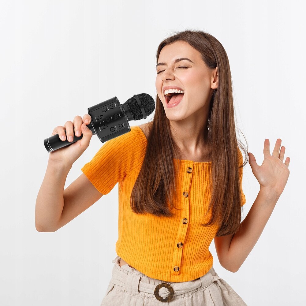 Vaikiškas karaoke mikrofonas su garsiakalbiu, juodas kaina ir informacija | Lavinamieji žaislai | pigu.lt
