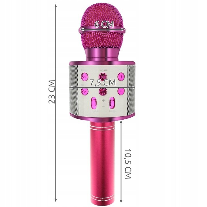 Vaikiškas karaoke mikrofonas su garsiakalbiu, rožinis kaina ir informacija | Lavinamieji žaislai | pigu.lt